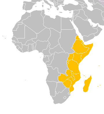 Schematische Karte Ostafrikaafrika