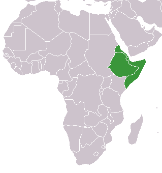 Datei:Africa-countries-horn.png