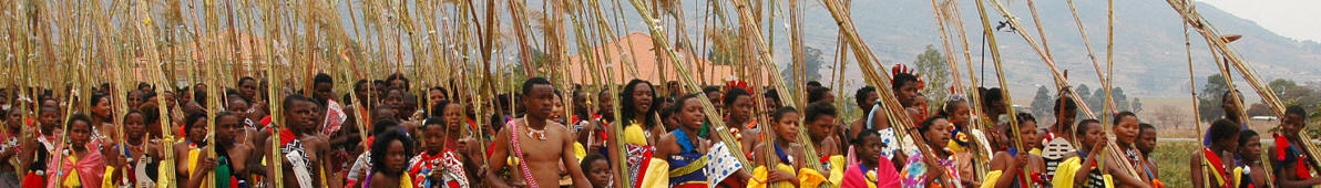 The Reed Dance Festival