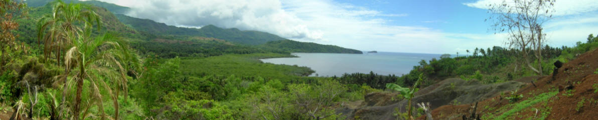 Mangrovenwald bei Nioumachoua