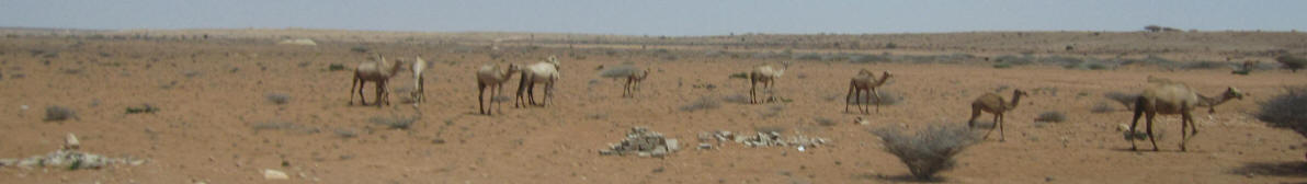 Puntland Wikivoyage banner.jpg