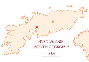 Karte von Bird Island