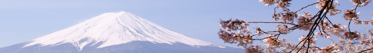 Mount Fuji banner Fuji and cherry blossoms