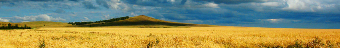 Steppe in Kasachstan