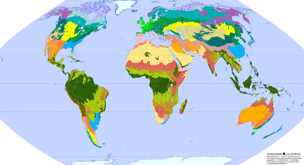 Ecozones der FAO