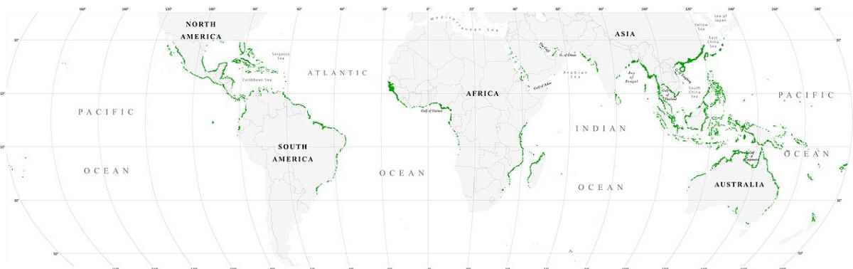 Weltksrte Verbreitung von Mangrovenwäldern