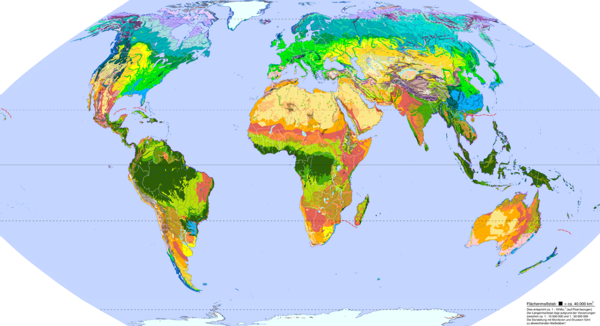 Vegetationszonen der Erde
