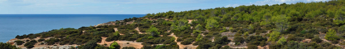 Bannerfoto  Praia da Marinha 