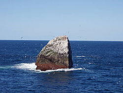 Rockall Foto