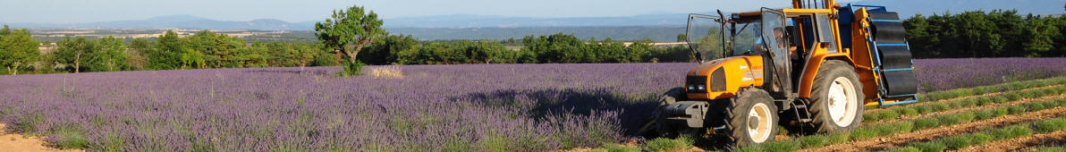 https://upload.wikimedia.org/wikipedia/commons/5/5d/Provence_banner.jpg