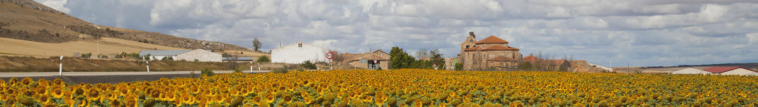 Cardejón, España