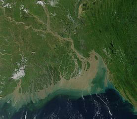 Satellitenfoto des Gangesdelta