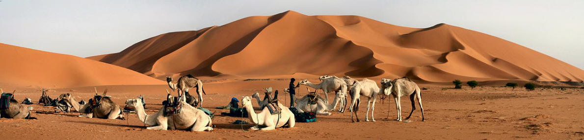 Dünen im Adrar Ahnet, Algerien