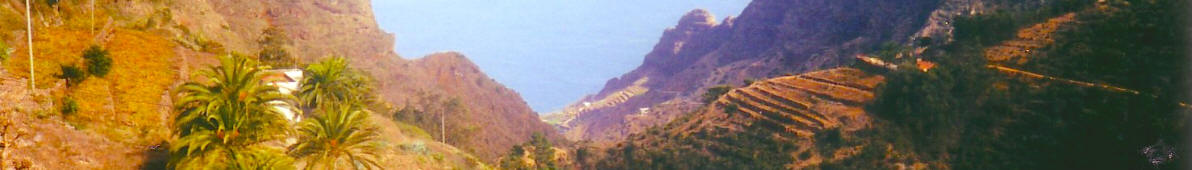 Banner La Gomera