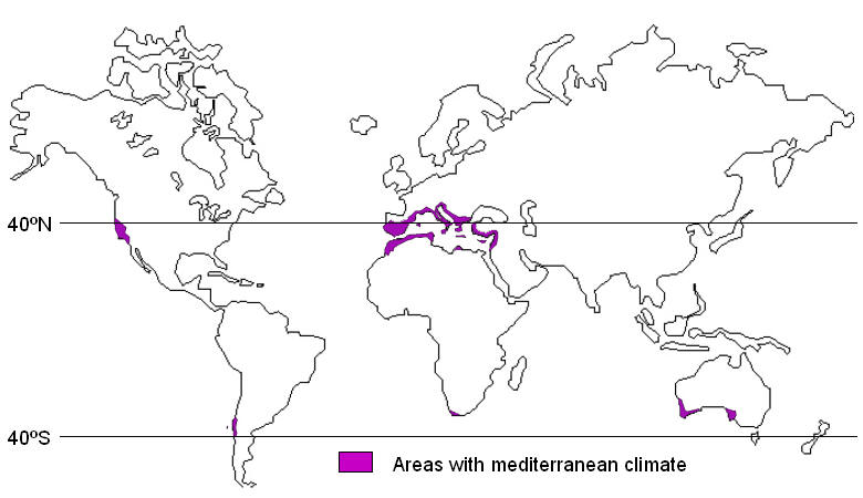 Gegenden mit Mittelmeerklima