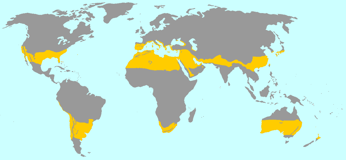 Die Subtropische Klimazone