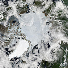 MODIS Karte der Arktis