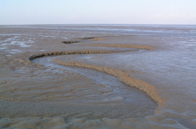 Foto Schlickwatt mit Priel, Schleswig-Holsteinisches Wattenmeer