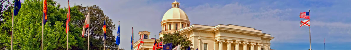 Montgomery banner Capitol.jpg