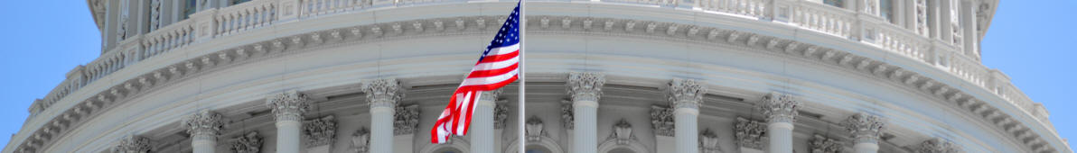 Capitol dome; Washington, D.C. banner
