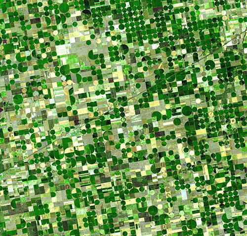Satellitenbild von Anbaufeldern in Kansas