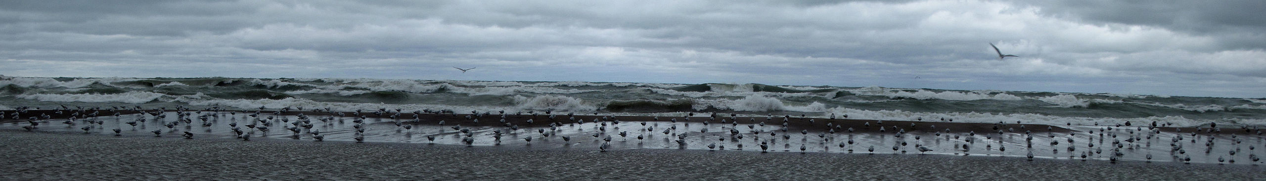 Lake Michigan near New Buffalo; 