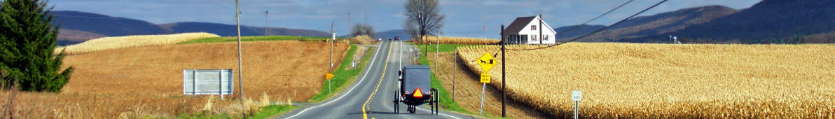 Amish horse & buggy on Route 880, Pennsylvania