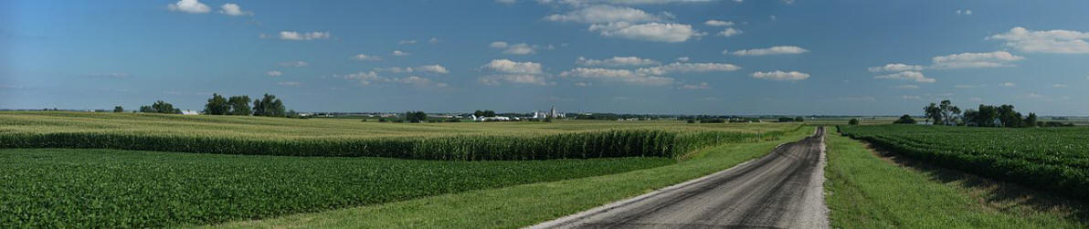 Maisfelder bei Royal, Illinois