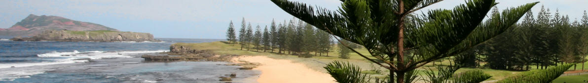 Strand auf der Norfolkinsel mit typischer Vegetation
