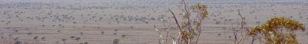 https://upload.wikimedia.org/wikipedia/commons/b/b2/WV_banner_SA_Outback_Nullarbor_plain.jpg