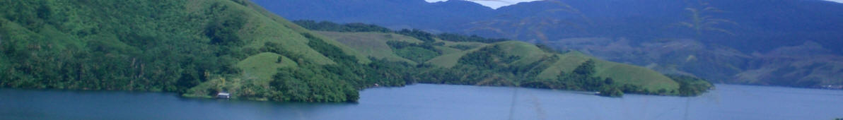 https://upload.wikimedia.org/wikipedia/commons/c/cf/Papua_banner.jpg
