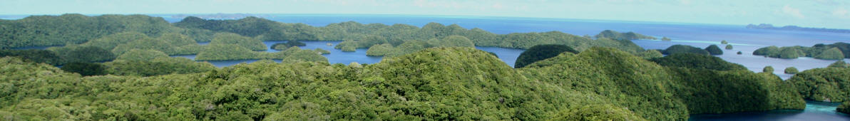 Jellyfish Lake on Eil Malk Island, Palau