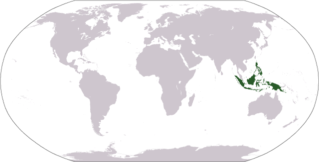 https://www.lexas.de/suedostasien/malaiischer_archipel/_media/Location_Malay_Archipelago.png