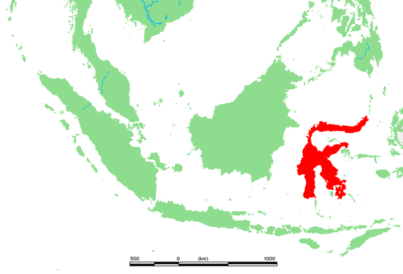 Datei:ID - Sulawesi.png