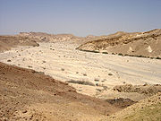 Die Negev Wüste